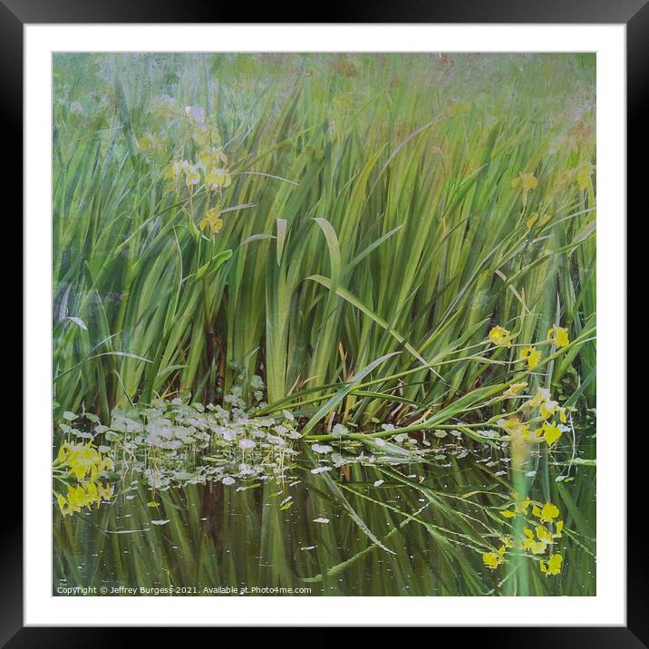 The edge of a pond Framed Mounted Print by Jeffrey Burgess