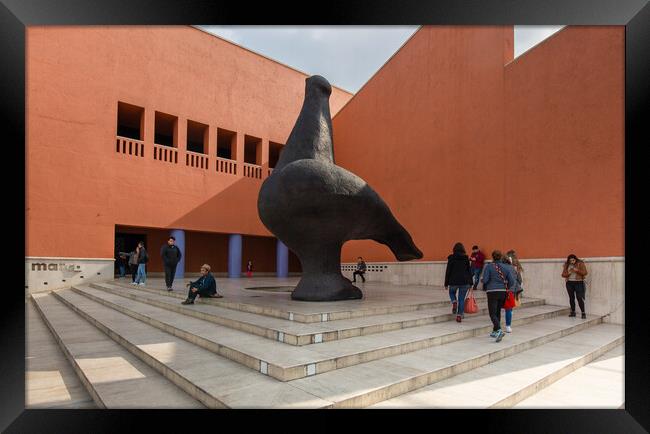 Monterrey, MARCO, Museum of Contemporary Art (Museo de Arte Contemporaneo) located on city landmark Macroplaza Framed Print by Elijah Lovkoff