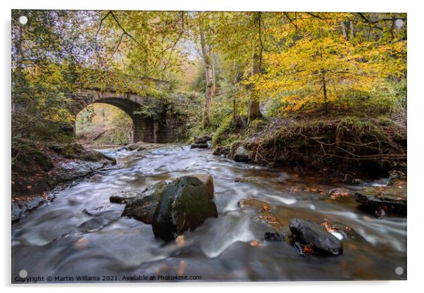 Autumn at May Beck, Sneaton Forest near Whitby Acrylic by Martin Williams