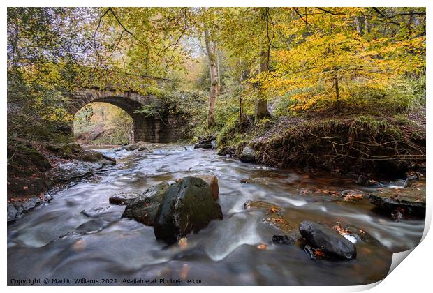 Autumn at May Beck, Sneaton Forest near Whitby Print by Martin Williams