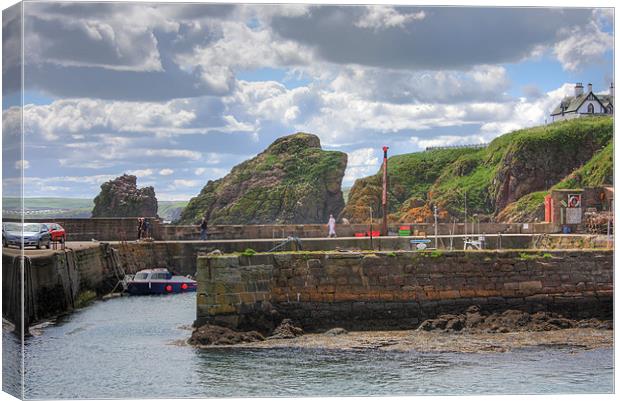 St. Abbs Harbour Canvas Print by Tom Gomez
