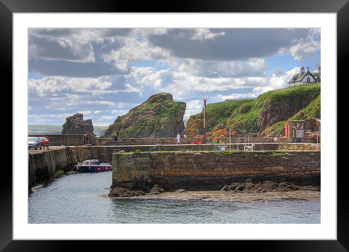 St. Abbs Harbour Framed Mounted Print by Tom Gomez