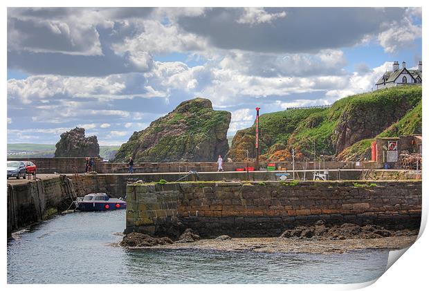 St. Abbs Harbour Print by Tom Gomez