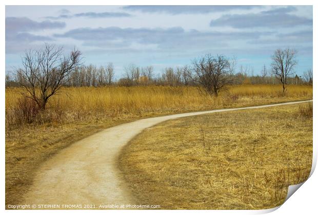 Transcona Bioreserve in Spring Print by STEPHEN THOMAS