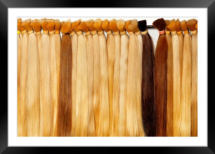 Healthy hair tufts of long light shades, natural, wheat-colored, chocolate-colored, brown. Framed Mounted Print by Sergii Petruk