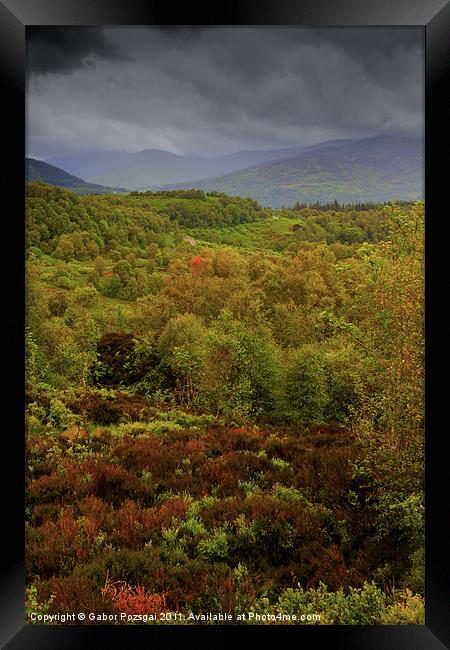 View from the Queen Elisabeth Forest Park Framed Print by Gabor Pozsgai