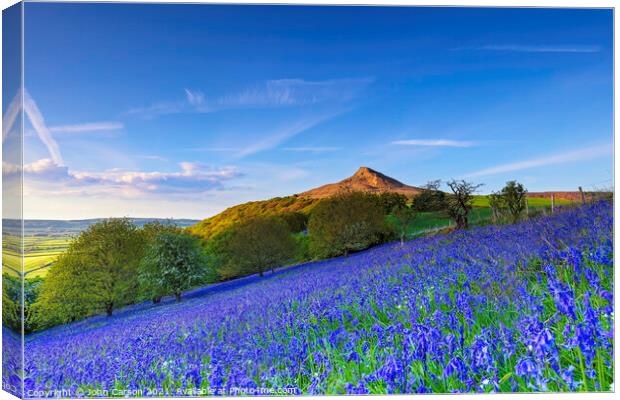 Enchanting Bluebell Woods Canvas Print by John Carson