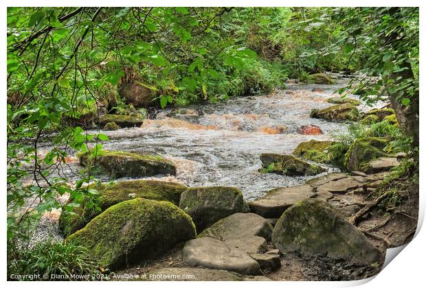 Hebden water near Hardcastle Crags Print by Diana Mower