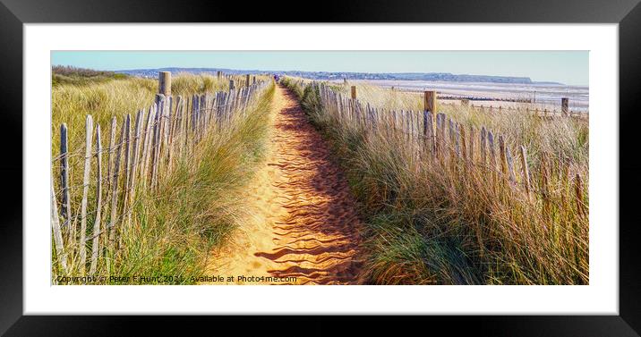 Path Through The Dunes Framed Mounted Print by Peter F Hunt
