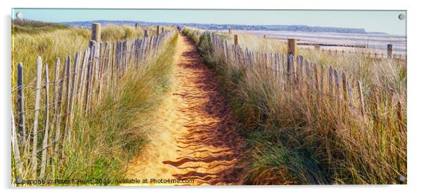 Path Through The Dunes Acrylic by Peter F Hunt
