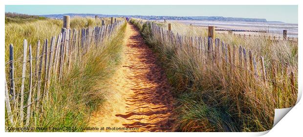 Path Through The Dunes Print by Peter F Hunt