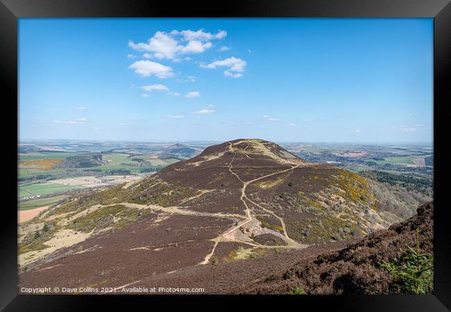 West Side Path up Eildon Hill North from the top of Eildon Mid Hill, Scottish Borders, UK Framed Print by Dave Collins