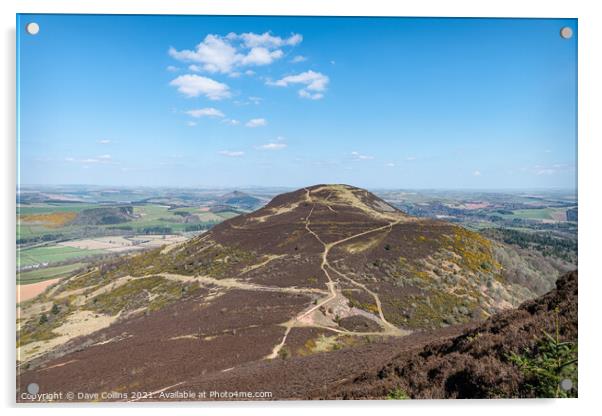 West Side Path up Eildon Hill North from the top of Eildon Mid Hill, Scottish Borders, UK Acrylic by Dave Collins