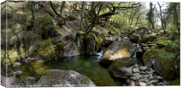 Rocky Stream, Artist Valley in Wales - Panorama  Canvas Print by Philip Brown