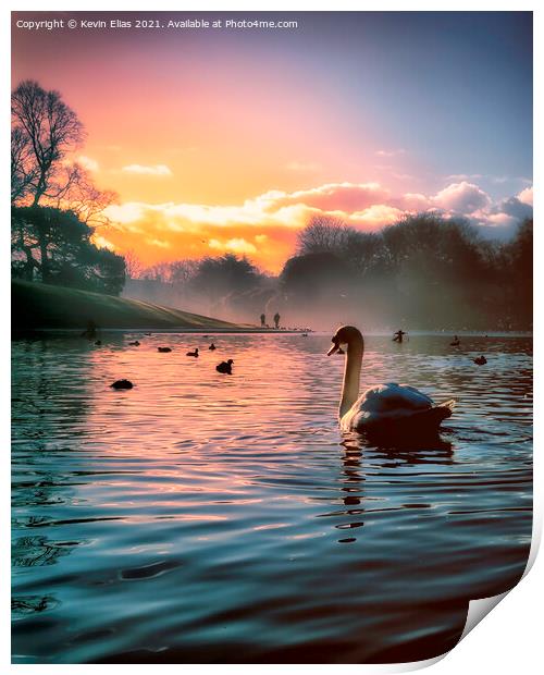 Swan lake  Print by Kevin Elias