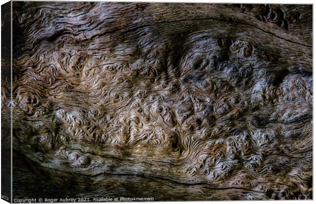 Burlwood pattern in tree bark Canvas Print by Roger Aubrey