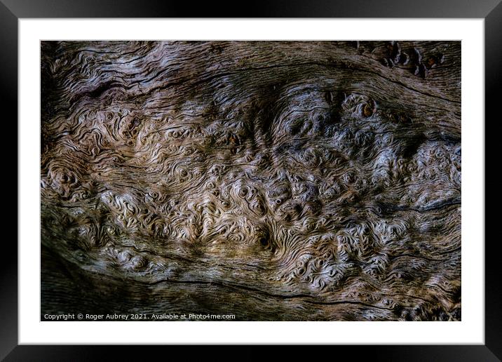Burlwood pattern in tree bark Framed Mounted Print by Roger Aubrey