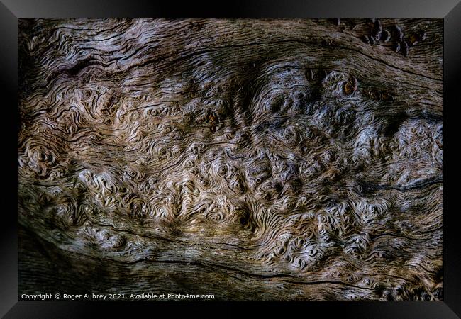 Burlwood pattern in tree bark Framed Print by Roger Aubrey