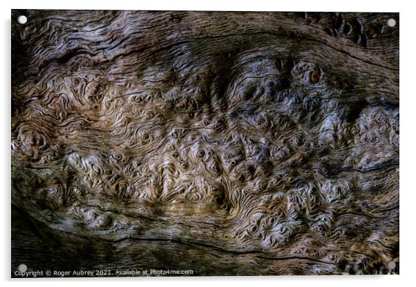 Burlwood pattern in tree bark Acrylic by Roger Aubrey