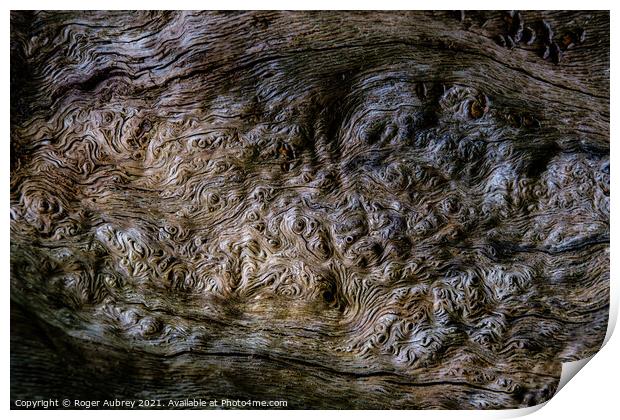 Burlwood pattern in tree bark Print by Roger Aubrey