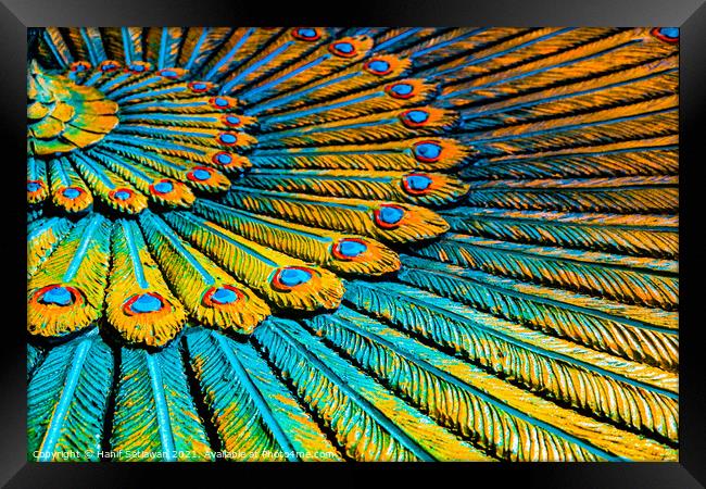 Full frame peacock feather wreath, Hinduist art. Framed Print by Hanif Setiawan