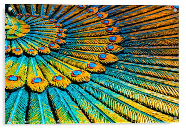 Full frame peacock feather wreath, Hinduist art. Acrylic by Hanif Setiawan