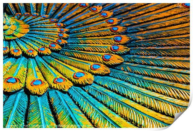 Full frame peacock feather wreath, Hinduist art. Print by Hanif Setiawan