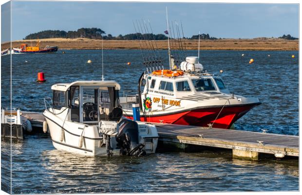Boats moored in Wells estuary. North Norfolk Canvas Print by Chris Yaxley