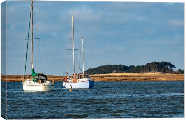 Sailing boats in Wells estuary Canvas Print by Chris Yaxley