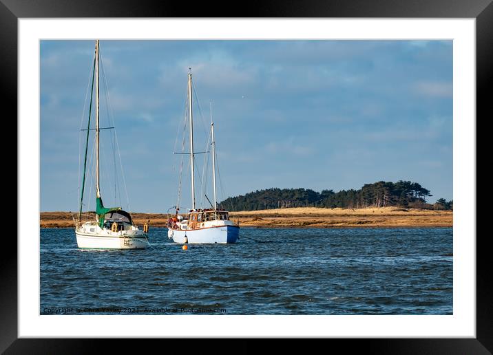 Sailing boats in Wells estuary Framed Mounted Print by Chris Yaxley
