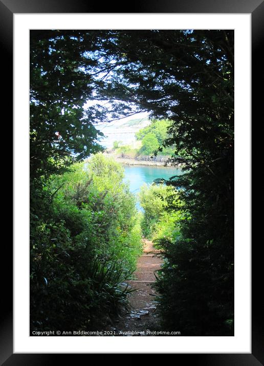 View from the steps at Fishcombe cove Framed Mounted Print by Ann Biddlecombe