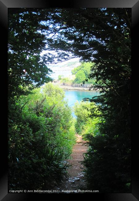 View from the steps at Fishcombe cove Framed Print by Ann Biddlecombe