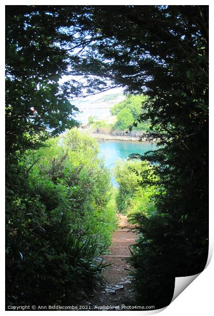 View from the steps at Fishcombe cove Print by Ann Biddlecombe