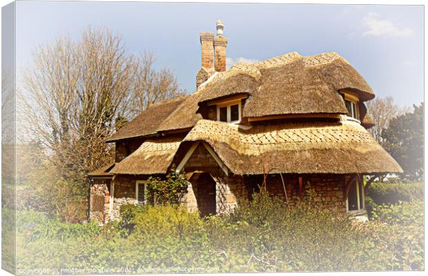 The hatched Cottage Canvas Print by Heather Goodwin