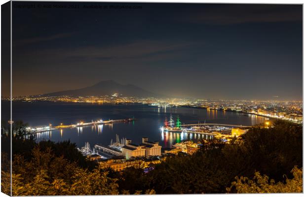 Naples bay at night  Canvas Print by Rob Moore