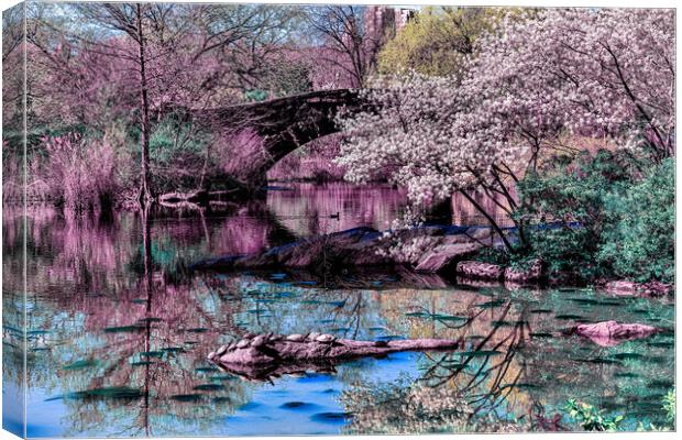 Springtime In Central Park Canvas Print by Chris Lord