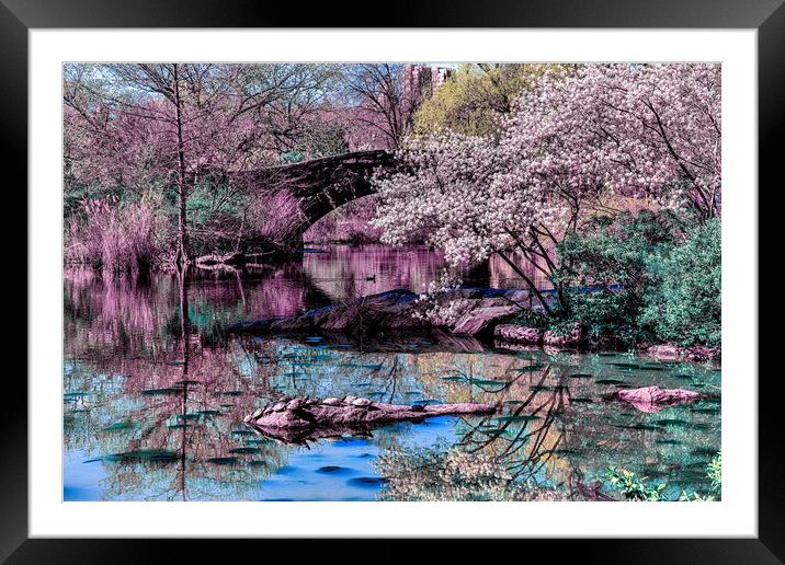 Springtime In Central Park Framed Mounted Print by Chris Lord