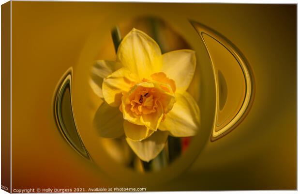 Holly burgess,Yellow Daffodil, made in to Art deco Canvas Print by Holly Burgess