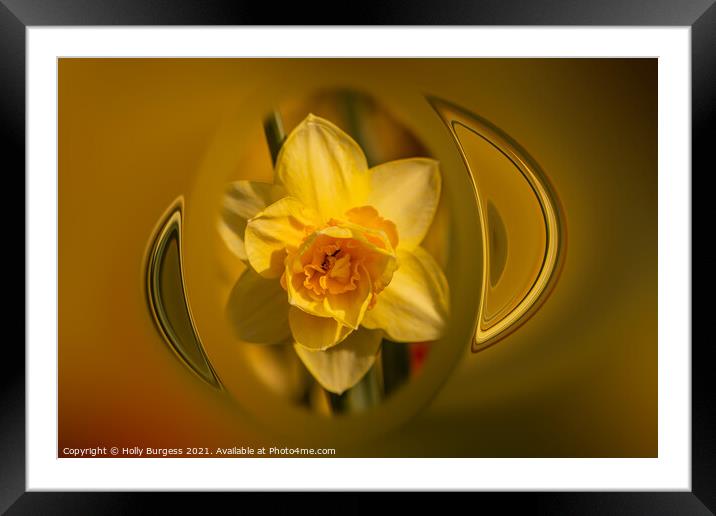 Holly burgess,Yellow Daffodil, made in to Art deco Framed Mounted Print by Holly Burgess