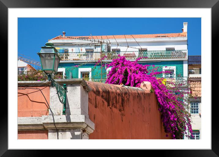 Typical Portuguese architecture and colorful buildings of Lisbon Framed Mounted Print by Elijah Lovkoff