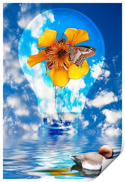 Flowering Bulb Print by Ian Jeffrey