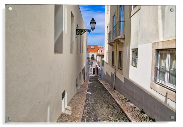 Colorful buildings of Lisbon historic center Acrylic by Elijah Lovkoff