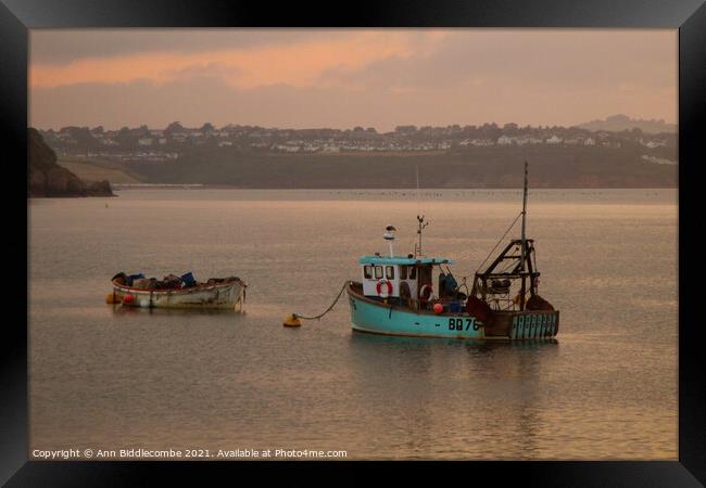 Just a couple of fishing boats Framed Print by Ann Biddlecombe