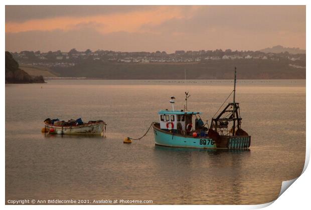 Just a couple of fishing boats Print by Ann Biddlecombe