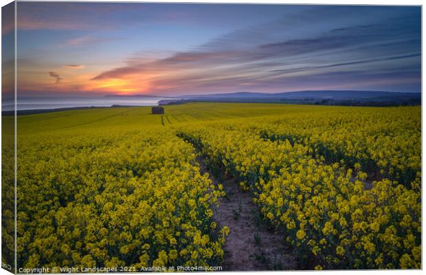 The Rapeseed Fields Of Chale Isle Of Wight Canvas Print by Wight Landscapes