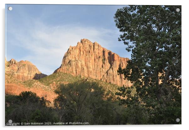 Sunlit Rocks, Zion National Park Acrylic by Sam Robinson