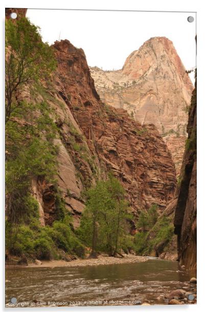 Entrance to The Narrows, Zion National Park Acrylic by Sam Robinson