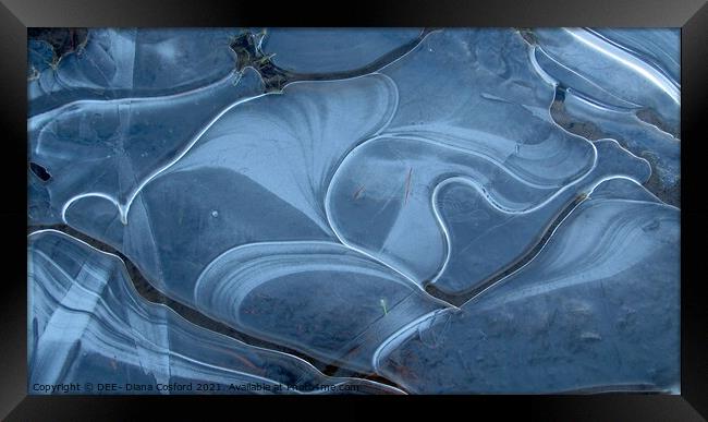 Ice Puddle Blues Framed Print by DEE- Diana Cosford