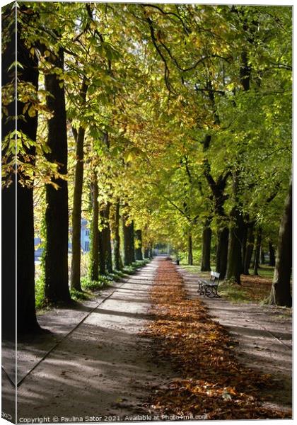 Walking through the Avenue of chestnuts  Canvas Print by Paulina Sator