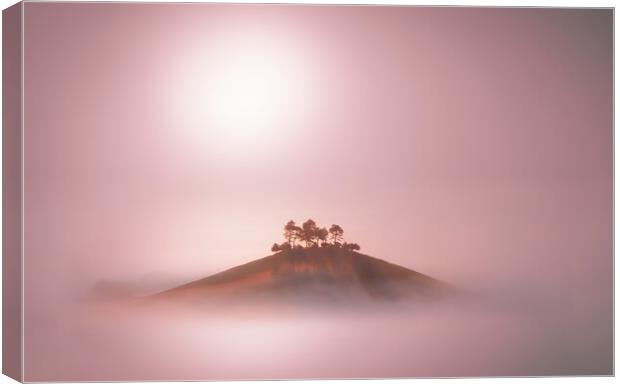Rose Gold Mists Canvas Print by David Neighbour